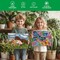 Wings Giant Paint by Numbers Kit (Landscape Art) 8.58 x 2.64 x 10.63 inches